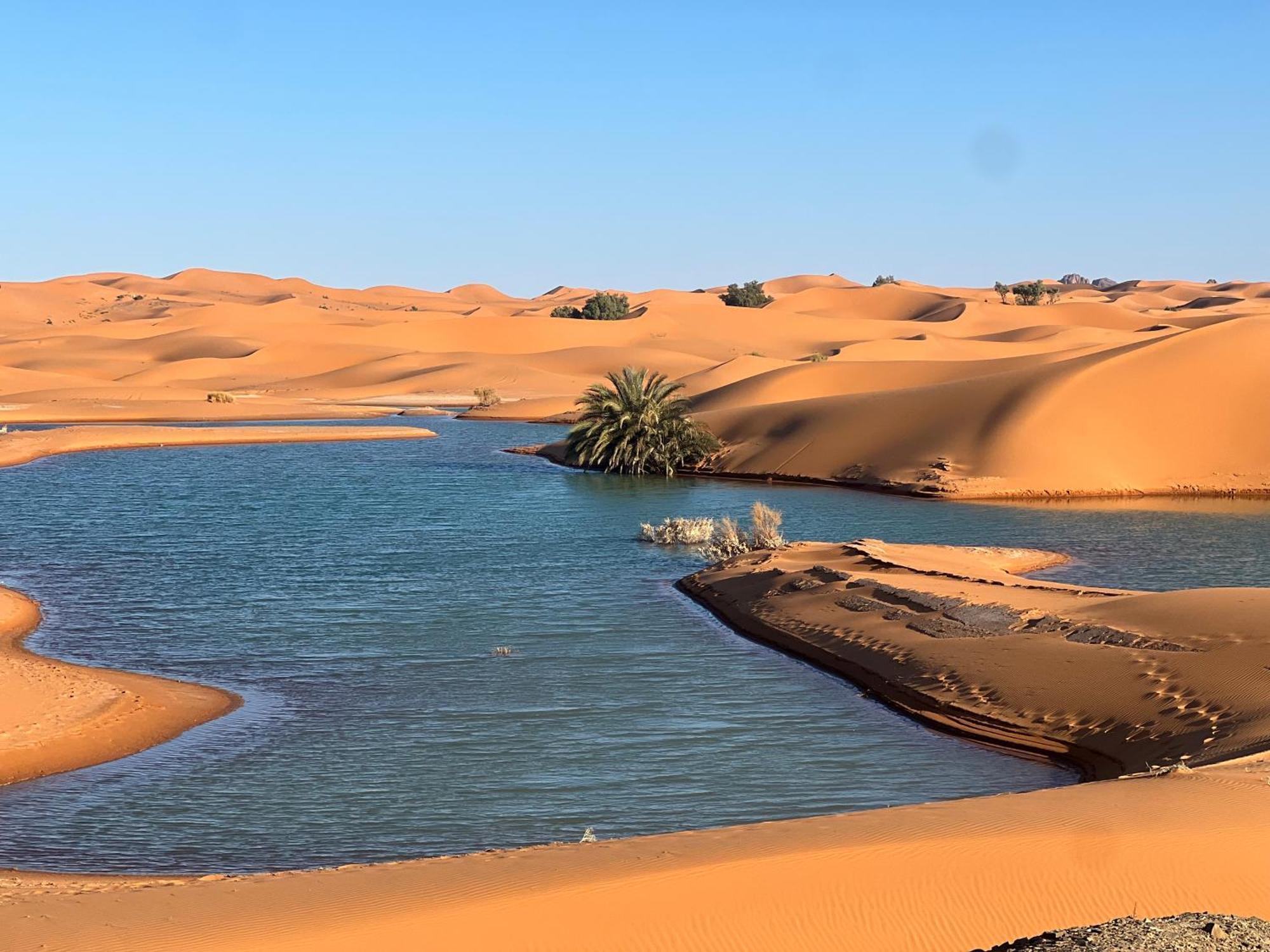 Berber Palace Merzouga Zewnętrze zdjęcie