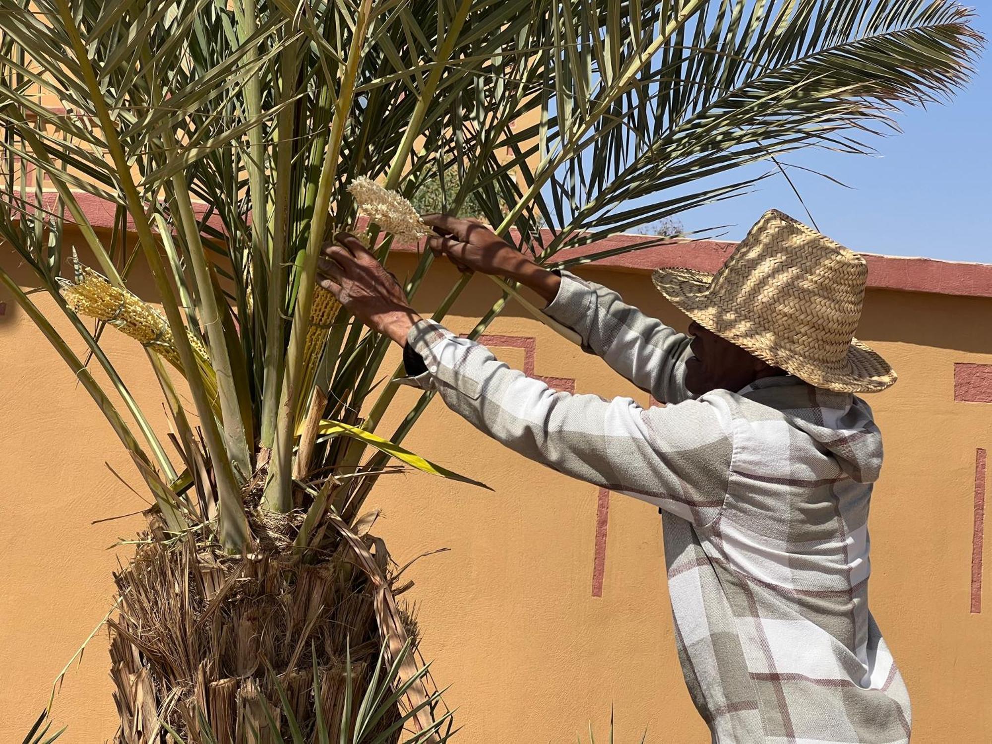 Berber Palace Merzouga Zewnętrze zdjęcie